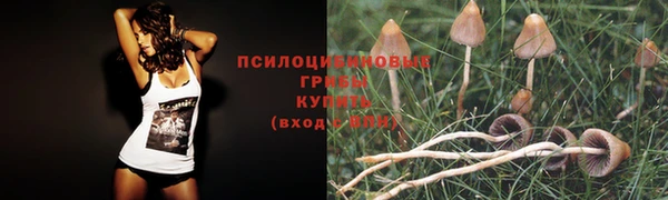 бошки Абаза