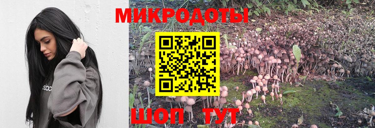 Кострома  Псилоцибиновые грибы мицелий  Псилоцибиновые грибы Magic Shrooms  Вход с VPN 